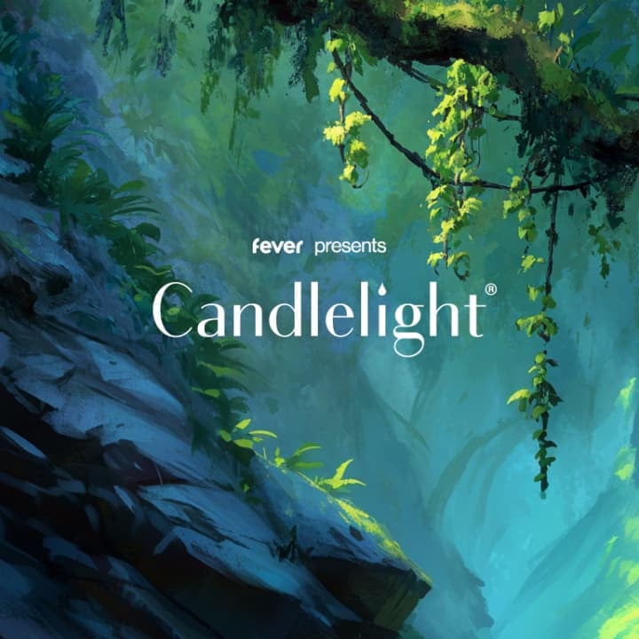 Imagem do evento Candlelight: Tributo a Phil Collins